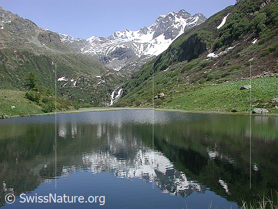 Foto: Halsesee: See mit Ofenhorn/Tälli im Hintergrund und als Spiegelung.