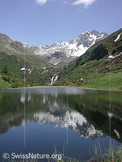 Foto: Halsesee: See mit Ofenhorn/Tälli im Hintergrund und als Spiegelung.