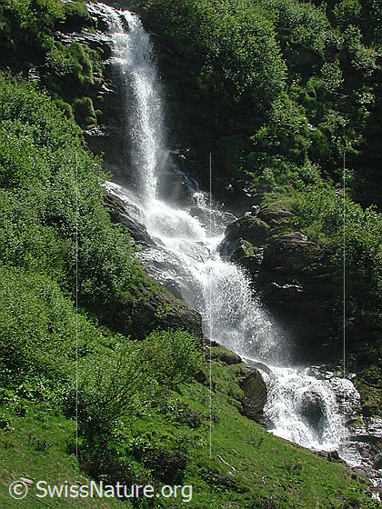 Foto: Wasserfall in der Nähe von Freichi.