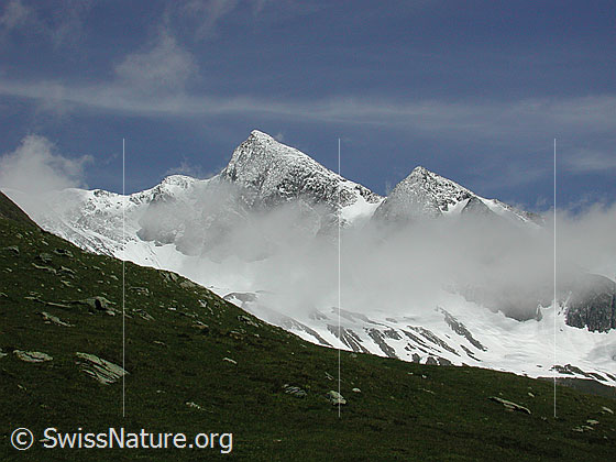 Foto: Turbhorn von SW (Alp Wyssi)
