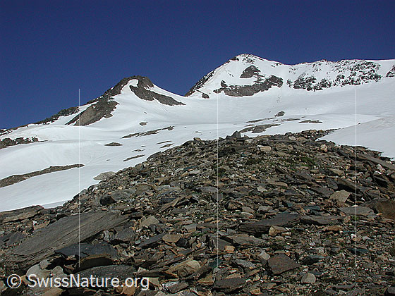 Foto: Turbhorn von SE (Aufstieg Hohsandhorn ca. 2800m)