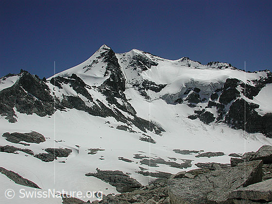 Foto: Ofenhorn von NW (Ende Mittlebärg).