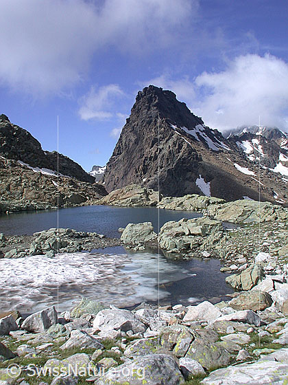 Foto: Seelein auf dem Grampielpass. Im Hintergrund das Rothorn.