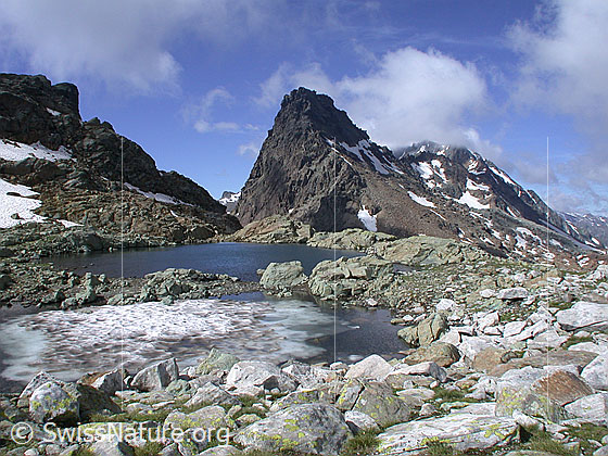 Foto: Seelein auf dem Grampielpass. Im Hintergrund das Rothorn.