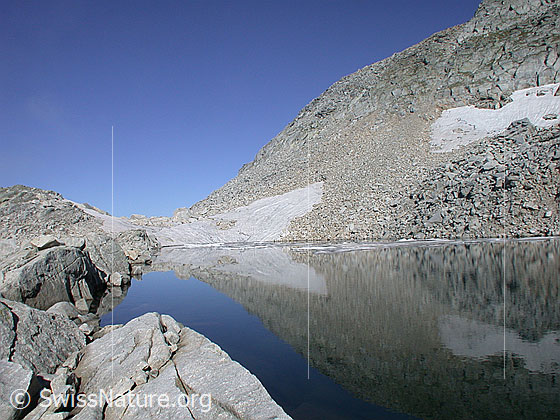 Foto: Spiegelung in Bergsee