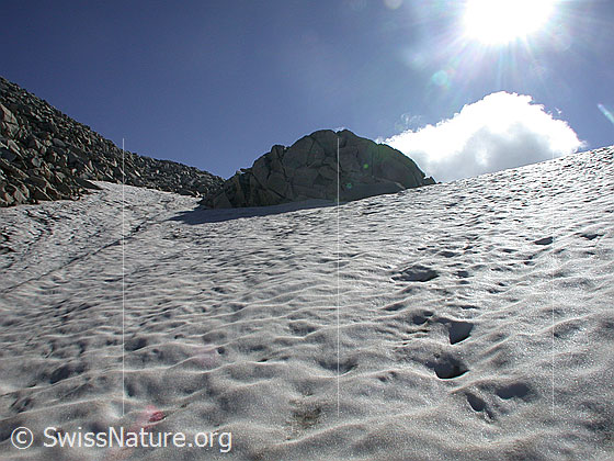 Foto: Im Aufstieg vom Schwarzsee zum Mittelbergpass.