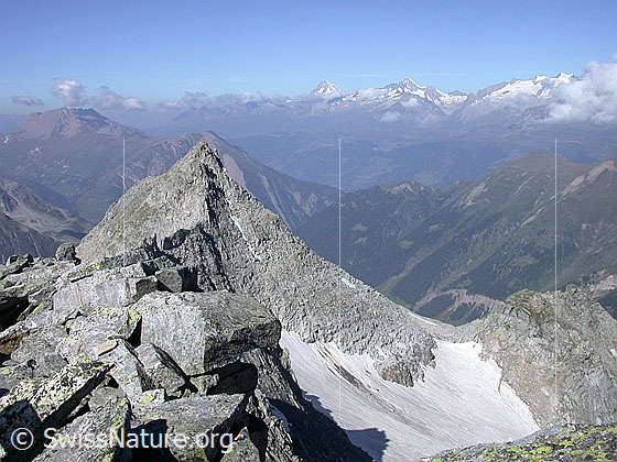 Foto: Blick vom Gipfel des Grossen Schinhorn Richtung W auf den Nachbargipfel Unter Schinhorn und die Berner Alpen.