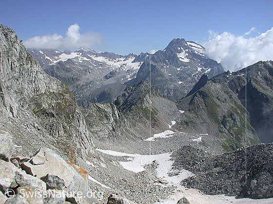 Foto: Blick vom Mittelbergpass Richtung NE über den Passo di Valdeserta auf das Ofenhorn.