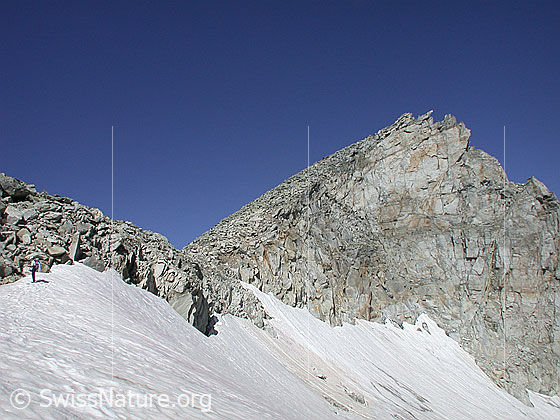 Foto: Blick von unterhalb des Mittelbergpass (E-Seite) zum Gipfel des Grossen Schinhorn.