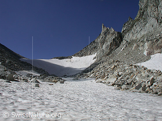 Foto: Im Abstieg vom Mittelbergpass (E-Seite): Blick zurück zum Gross Schinhorn.