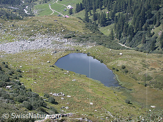 Foto: Tiefblick auf den Halsesee.