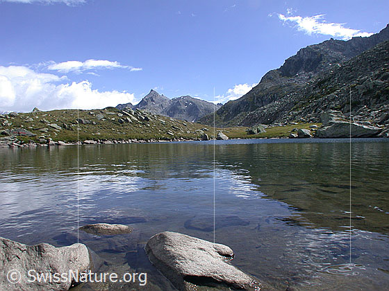 Foto: Schaplersee. Im Hintergrund die Schinhörner.