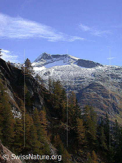 Foto: Oberhalb Imfeld: Blick Richtung SE (Schinhörner)