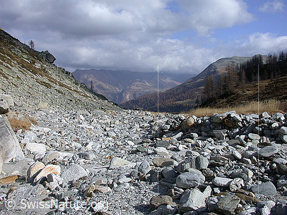 Foto: Eingang zum Mättital. Blick talwärts.