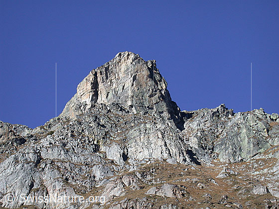 Foto: Felskopf in der Kette Meiggerehorn - Rothorn