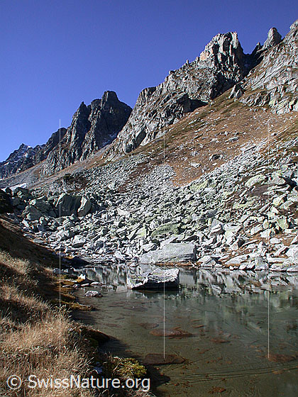 Foto: Kleiner See bei Rossbode im Mättital.
