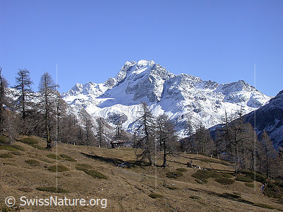 Foto: Ofenhorn von W (Hanschbiel)