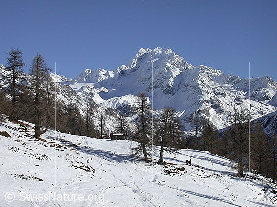 Foto: Leicht verschneites Ofenhorn W (Hanschbiel).