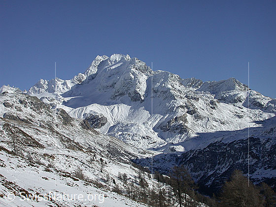 Foto: Leicht verschneites Ofenhorn bei sehr gutem Wetter von W (Gand).