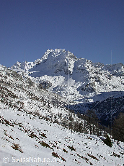 Foto: Leicht verschneites Ofenhorn bei sehr gutem Wetter von W (Gand).