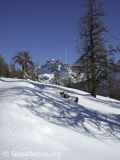 Foto: Ofenhorn von W (Hanschbiel).