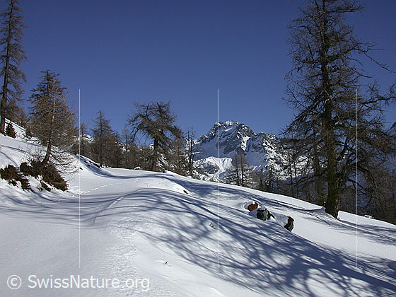 Foto: Ofenhorn bei sehr gutem Wetter von W (Hanschbiel).