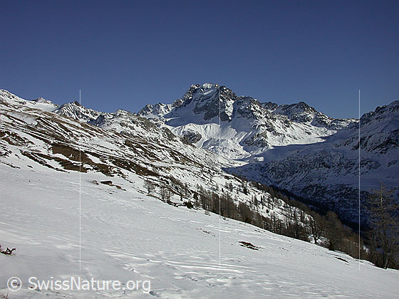 Foto: Ofenhorn bei sehr gutem Wetter von W (Gand).