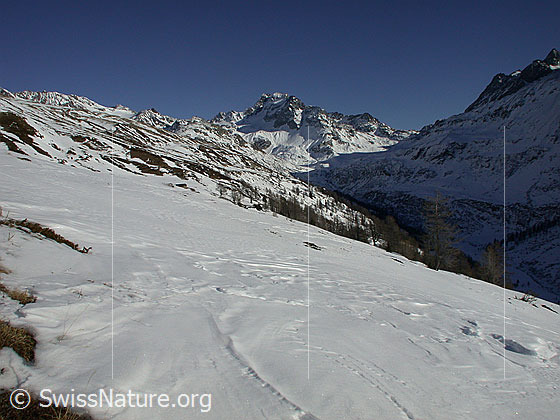 Foto: Ofenhorn bei sehr gutem Wetter von W (Gand).