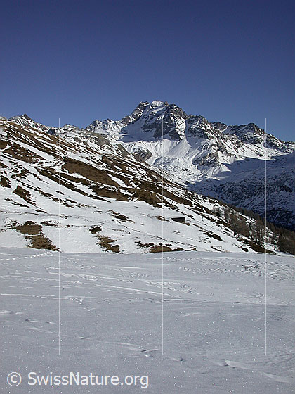 Foto: Ofenhorn von W (Gand).