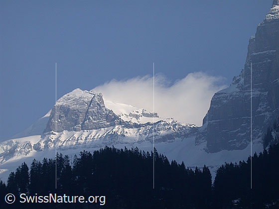 Foto: Doldenstock von NW (Kandersteg)