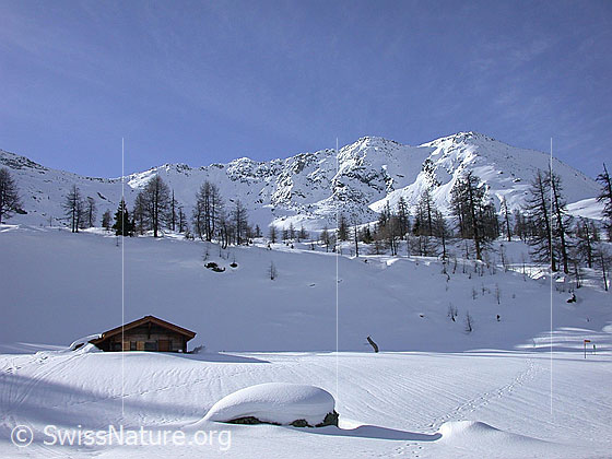 Foto: Bei Dri Stafle. Im Aufstieg zum Hockbode. Im Hintergrund der Gipfel des Hirli.