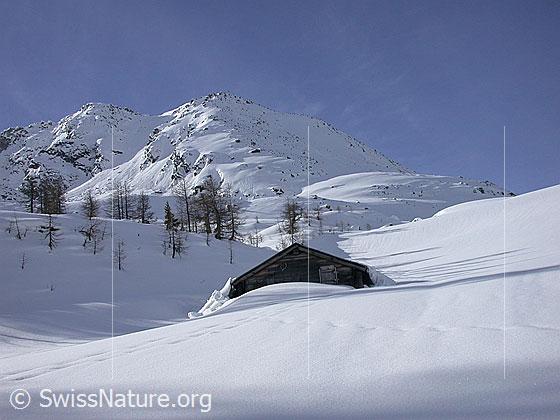 Foto: Hütte unterhalb Hockbode. Im Hintergrund der Gipfel des Hirli.
