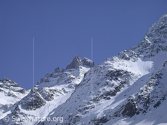 Foto: Kleines Schinhorn von WNW (Eggerebode)