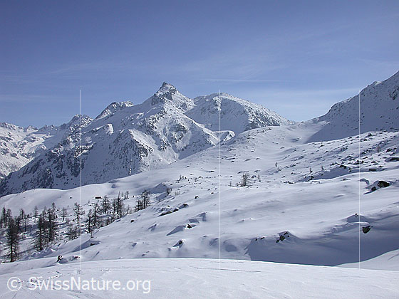 Foto: Unter Schinhorn von W (Hockbode)