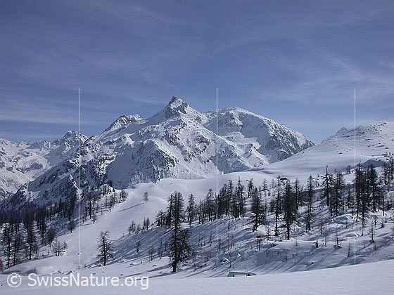Foto: Unter Schinhorn von W (Hockbode)