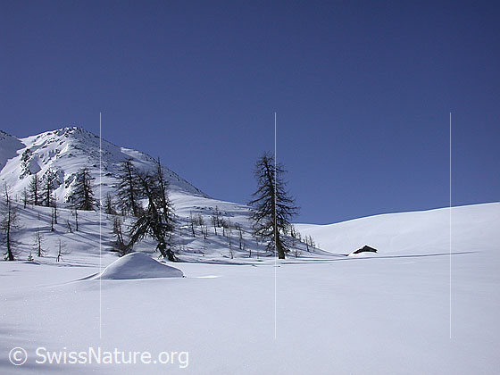 Foto: Winterlandschaft auf Hockbode