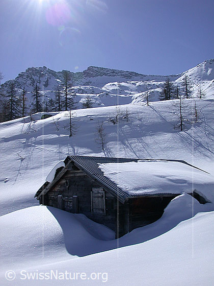 Foto: Hütte unterhalb Hockbode. Im Hintergrund der Gipfel des Stockhorns