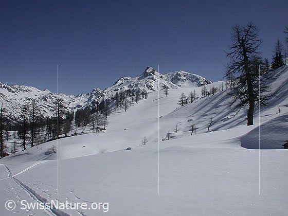 Foto: Unter Schinhorn von W (Hockbode)