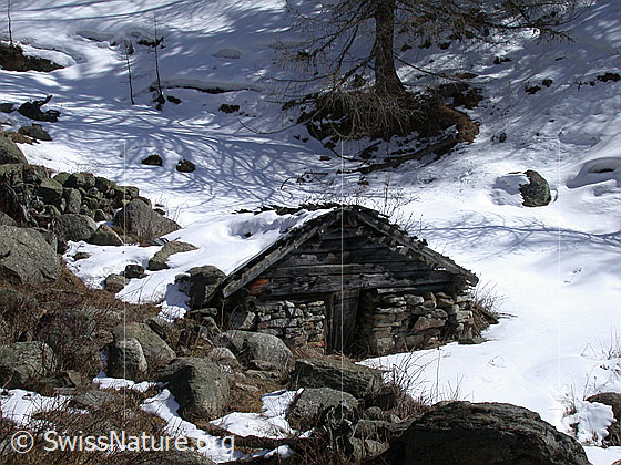 Foto: Zerfallende Alphütte in rauher winterlicher Umgebung.