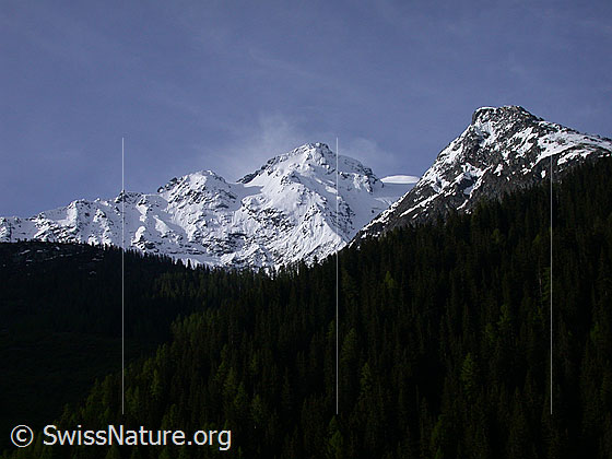 Foto: Schwarzhorn von N (oberhalb Imfeld)
