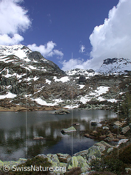 Foto: Berglandschaft mit Mässersee