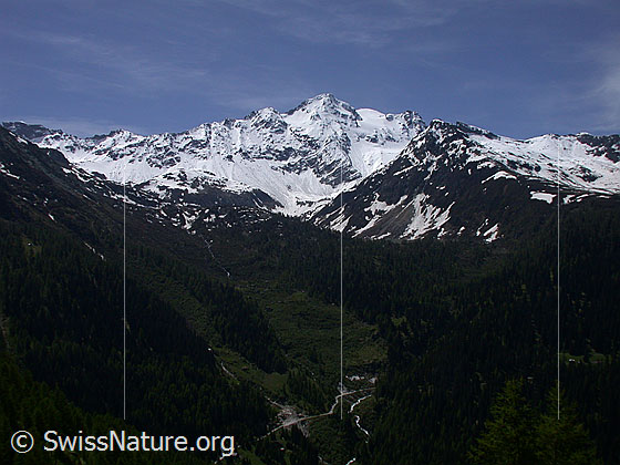 Foto: Blick über das Binntal Richtung S.  Am Horizont: Schwarzhorn
