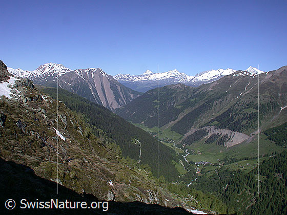 Foto: Blick vom Gebiet Gorb über das Binntal