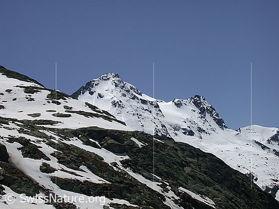 Foto: Blick vom Gebiet Gorb zum Schwarzhorn.