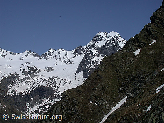 Foto: Blick vom Gebiet Gorb Richtung Ofenhorn
