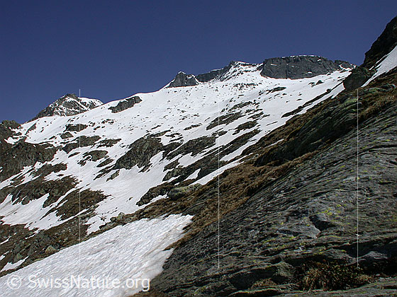 Foto: Blick vom Gebiet Gorb Richtung Chollerhorn und Unter Schinhorn.