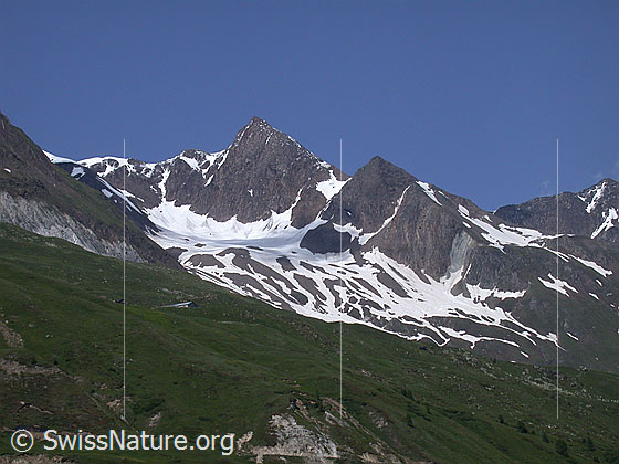 Foto: Turbhorn von SSW. Im Vordergund die Alp Wyssi.