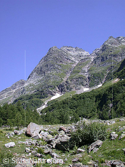 Foto: Seewischhorn von SW (Lärchultini)