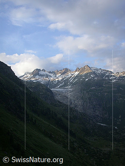Foto: Rhonegletscher im Abendlicht von WSW 
Im Hintergrund: Sidelenhorn, Gr. Furkahorn und Kl. Furkahorn.