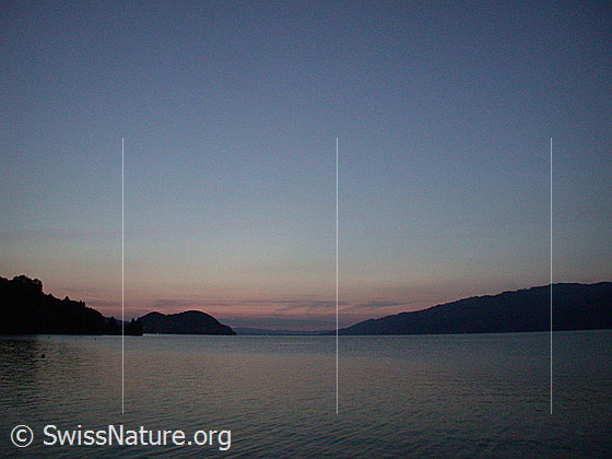 Foto: Abendstimmung am Thunersee